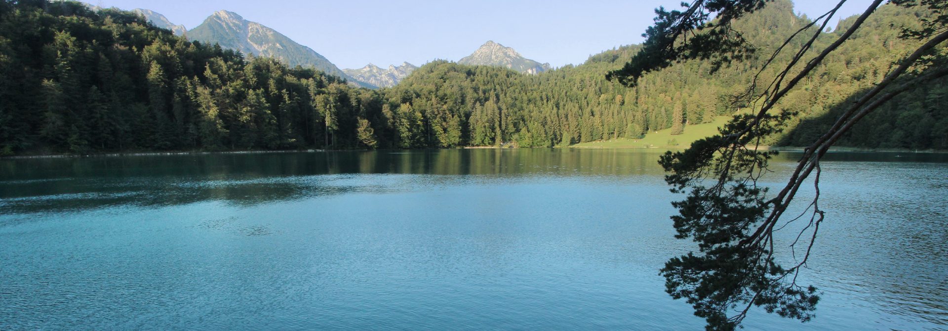 A tranquil lake surrounded by lush green mountains under a clear blue sky.