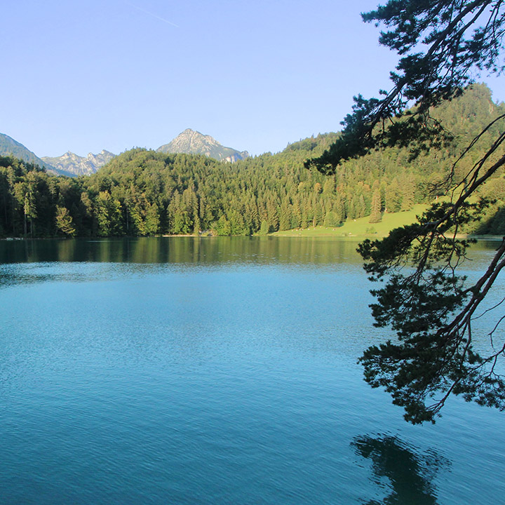 A tranquil lake surrounded by lush green mountains under a clear blue sky.