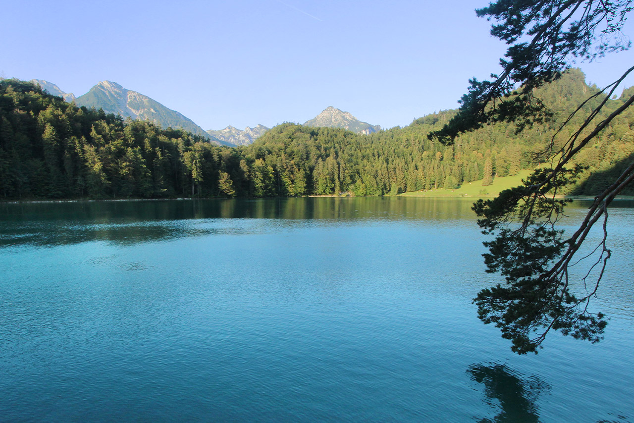A tranquil lake surrounded by lush green mountains under a clear blue sky.