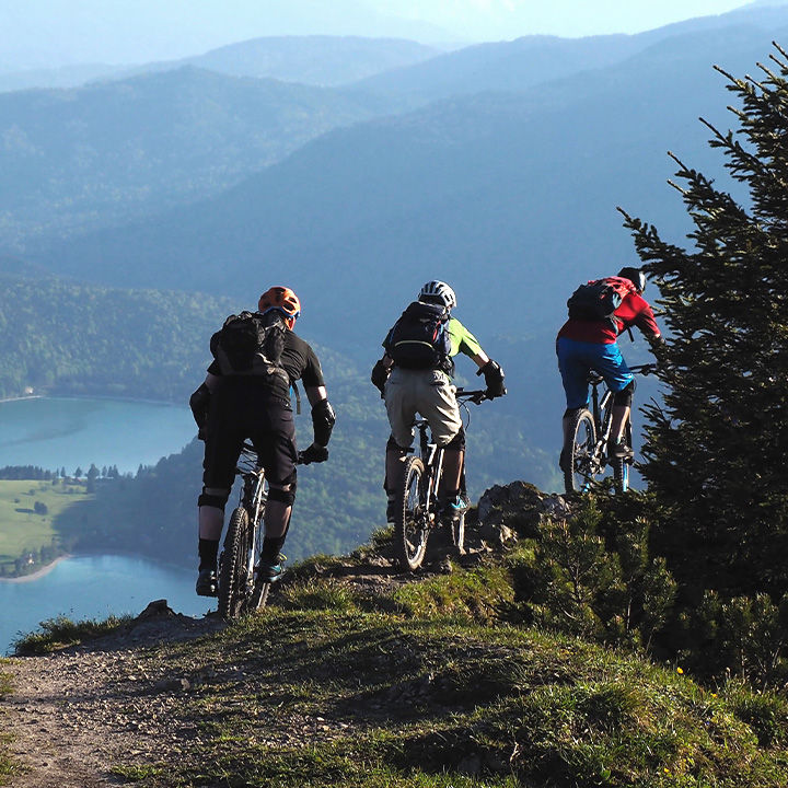 four mountain bikers riding on a trail overlooking a lake and forest