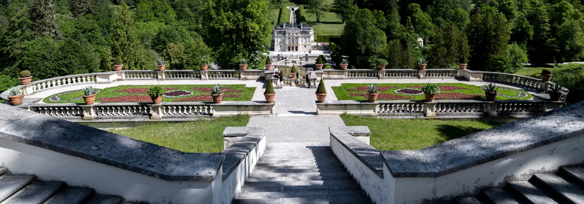 panoramic view of a beautifully landscaped garden with steps and greenery