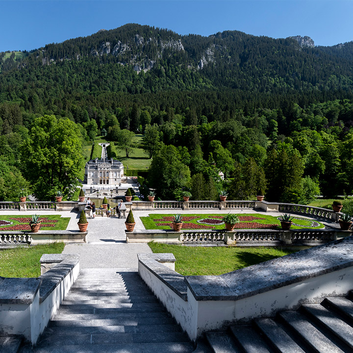 panoramic view of a beautifully landscaped garden with steps and greenery